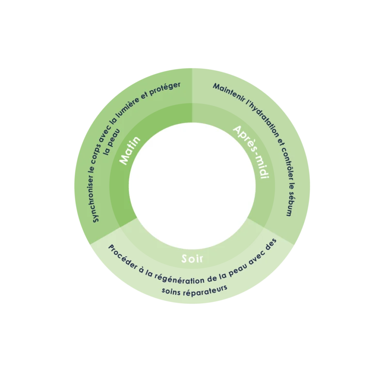 l' acné et le biorythme cutané et ses phases